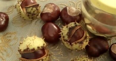 The use of horse chestnut to treat varicose veins