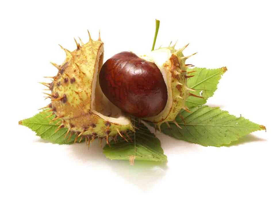 chestnut extract in Vetonus